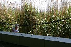IMG_0363 Lake Balaton Little Girl In Reeds